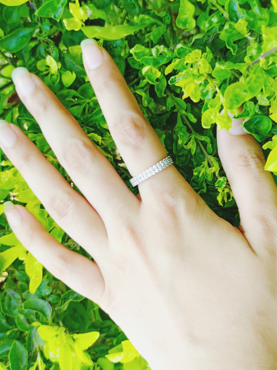 Gold Plated Sparkle Double Row Zircon Ring Jewelry