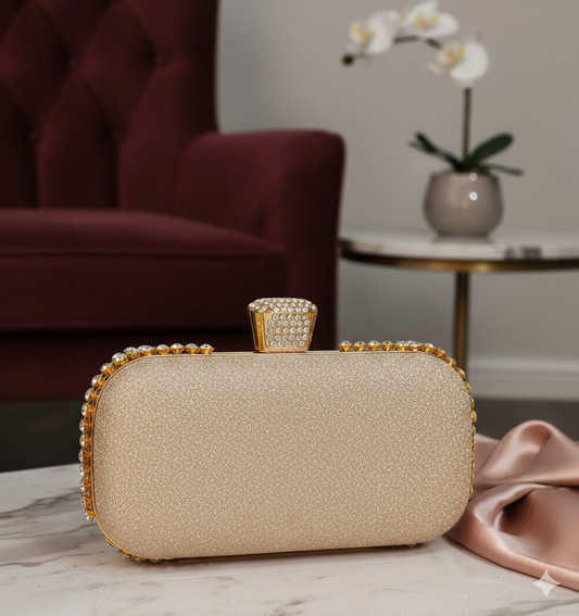 Gleam & Glamour Box Clutch / Bag